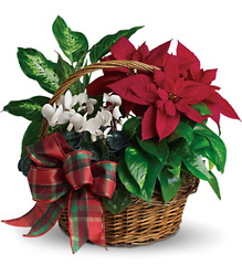 Holiday Homecoming Basket from Kinsch Village Florist, flower shop in Palatine, IL